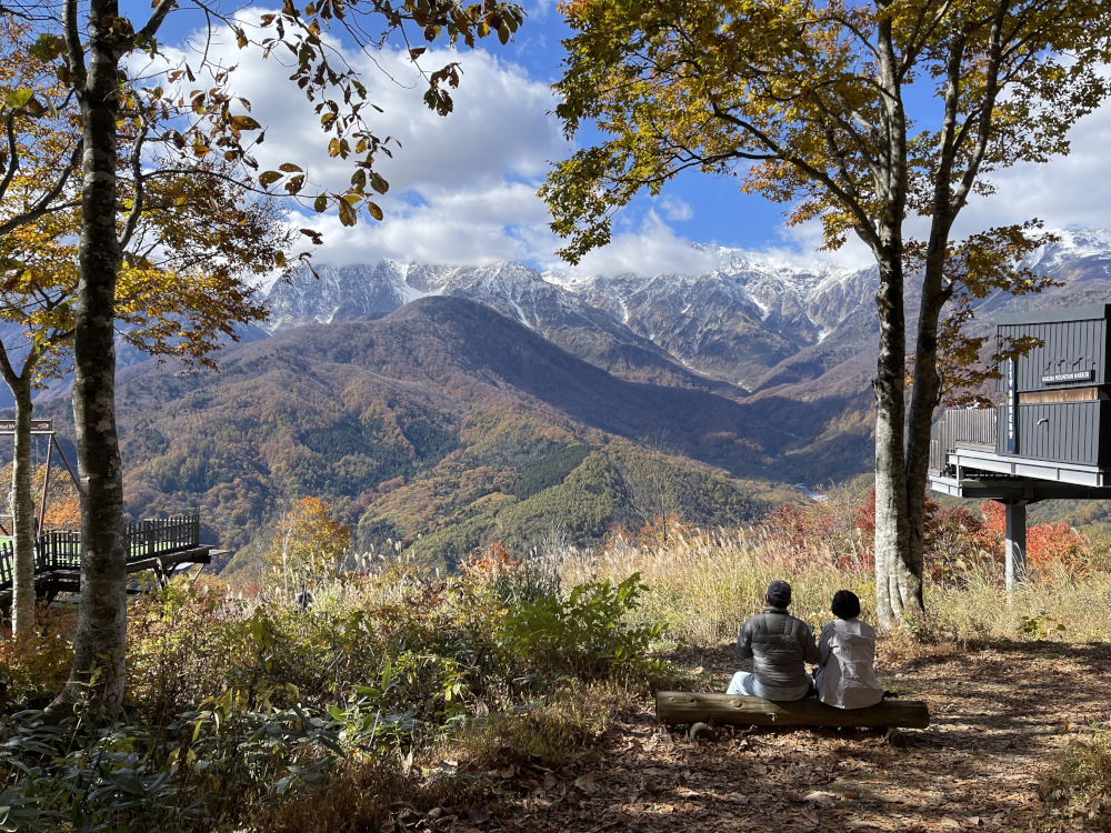 gallery-fall-11.jpg
