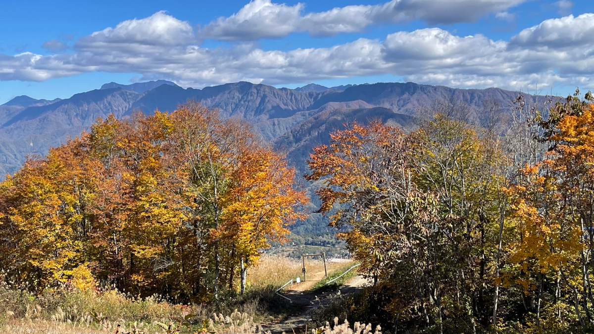gallery-fall-12.jpg
