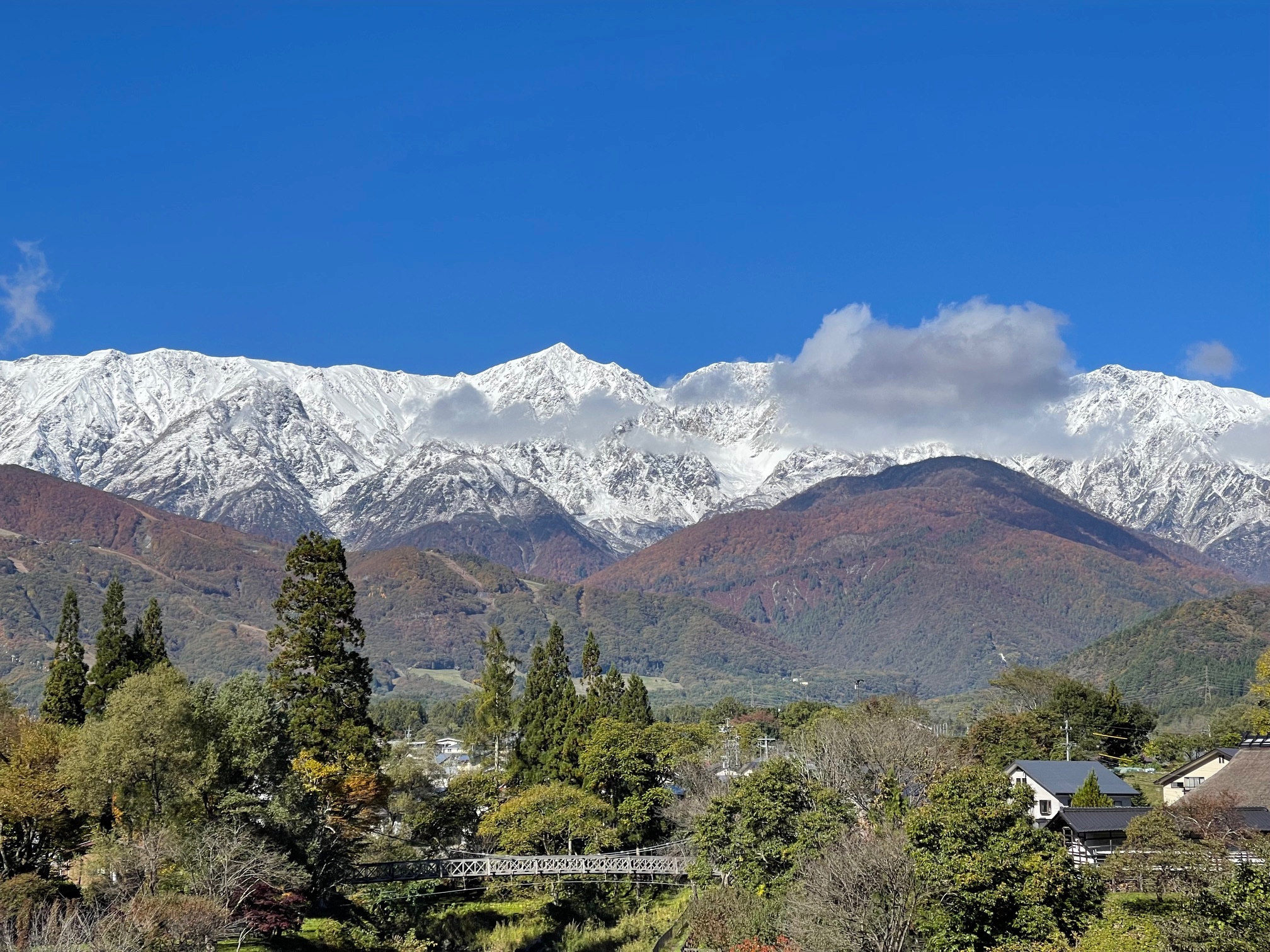 gallery-fall-14.jpg