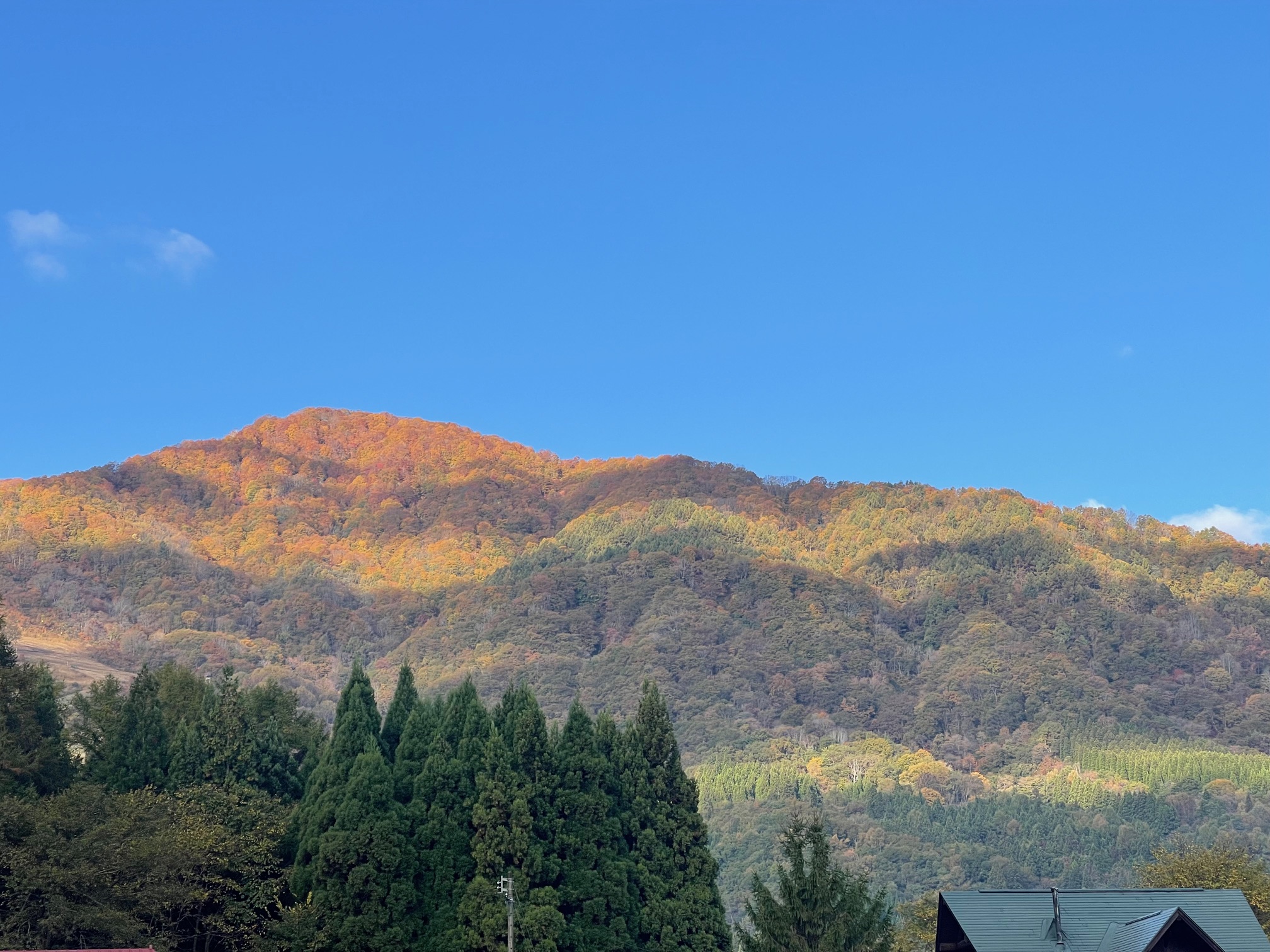 gallery-fall-15.jpg