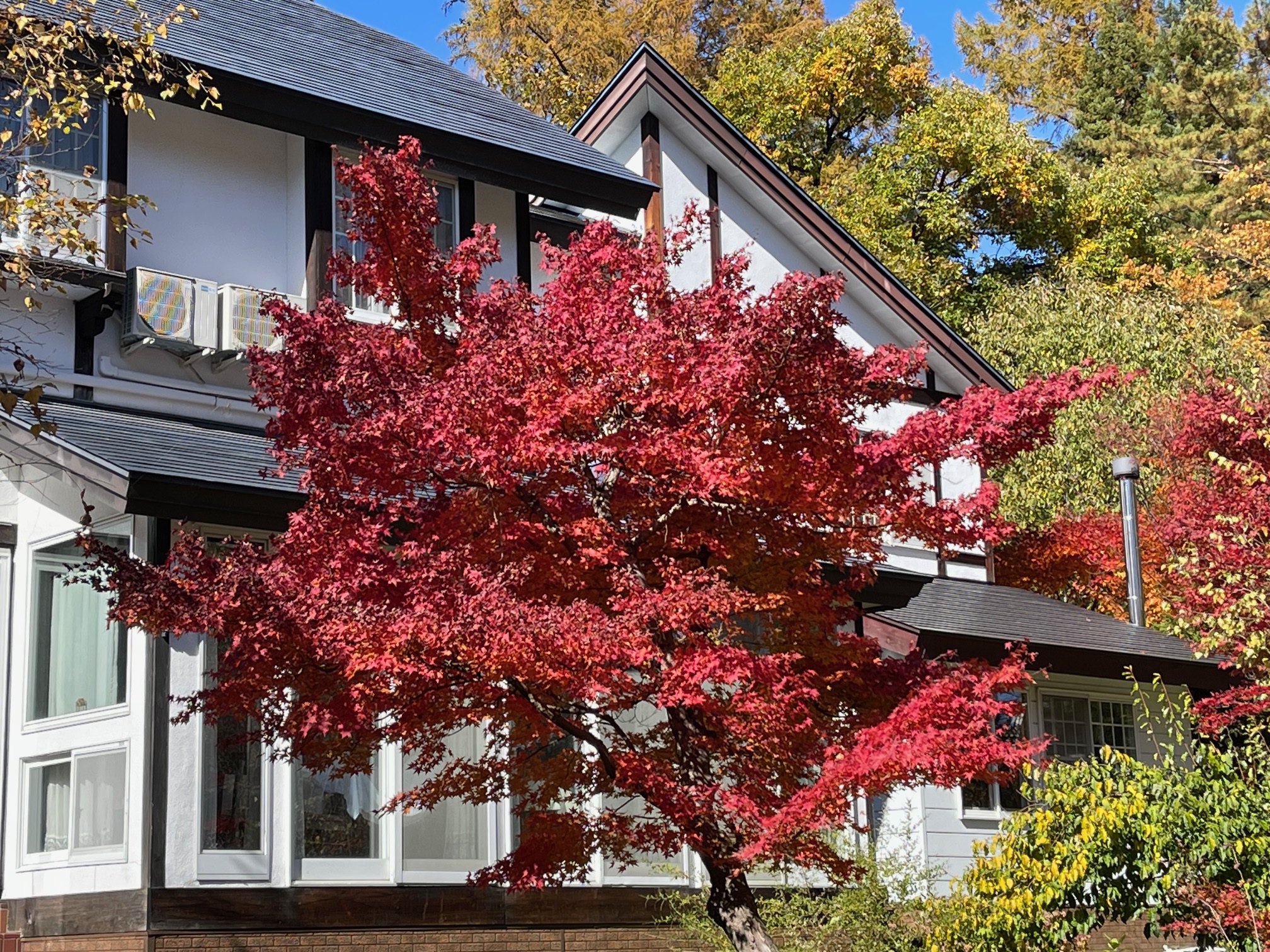 gallery-fall-16.jpg