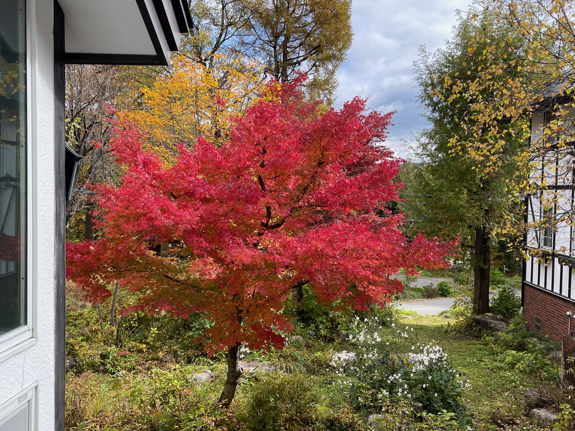 gallery-fall-17.jpg