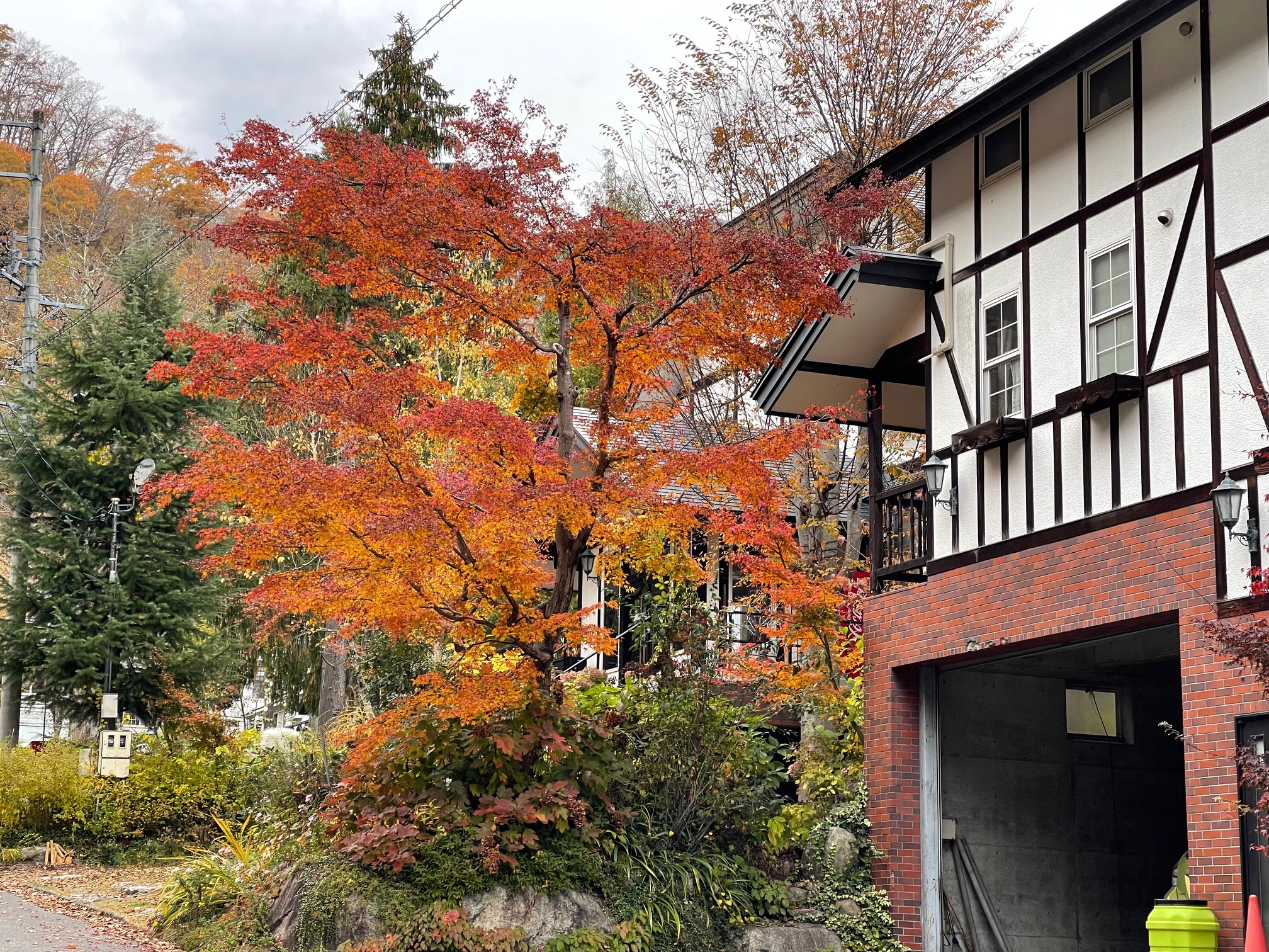 gallery-fall-18.jpg