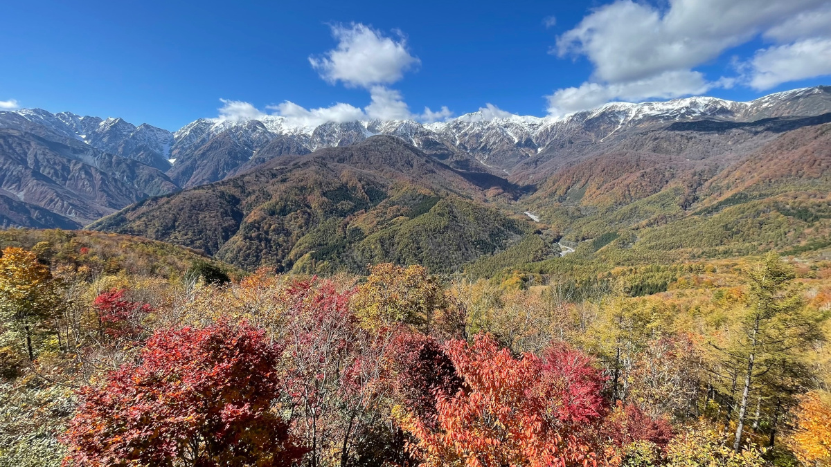 gallery-fall-2.jpg