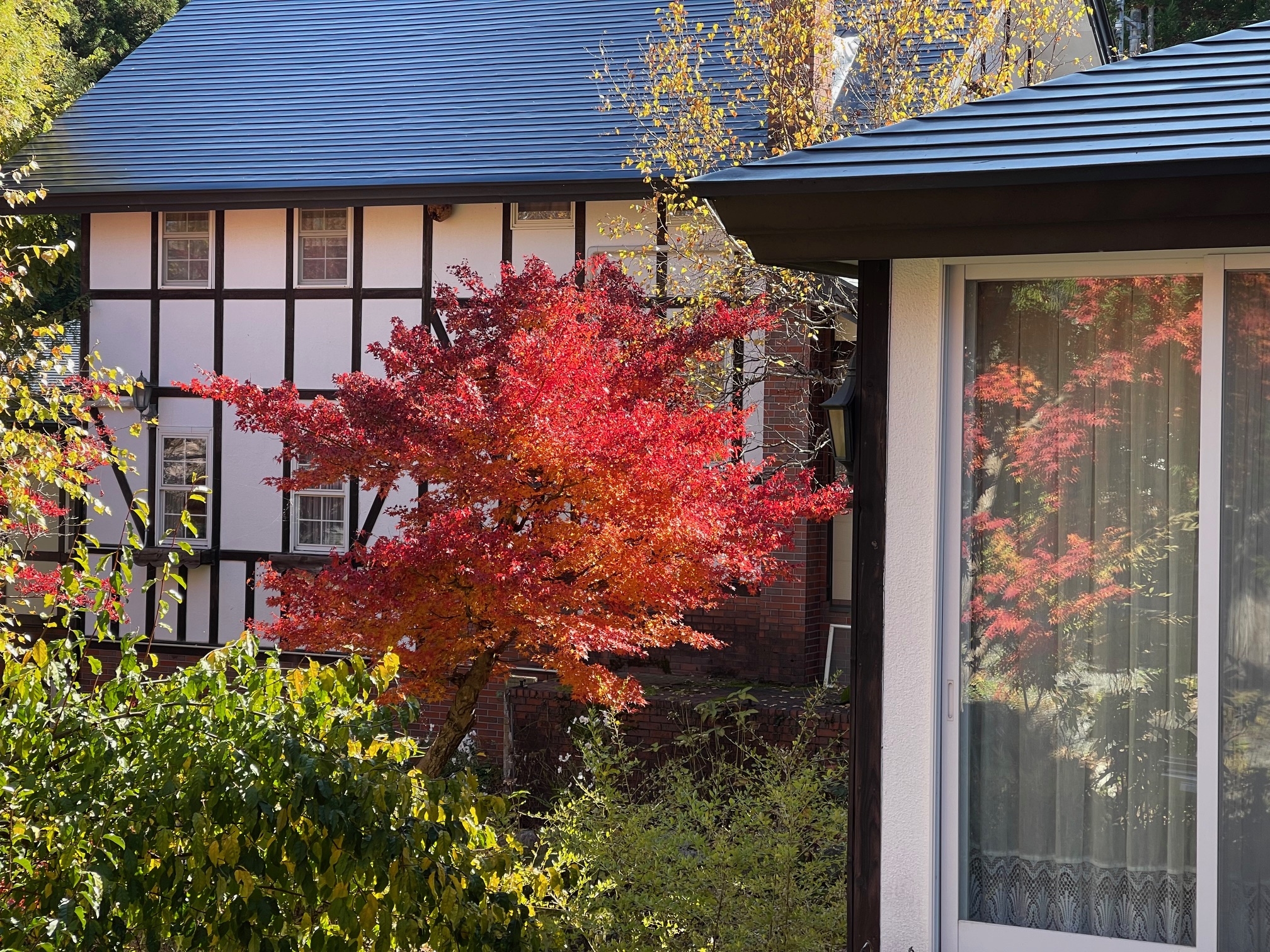 gallery-fall-20.jpg