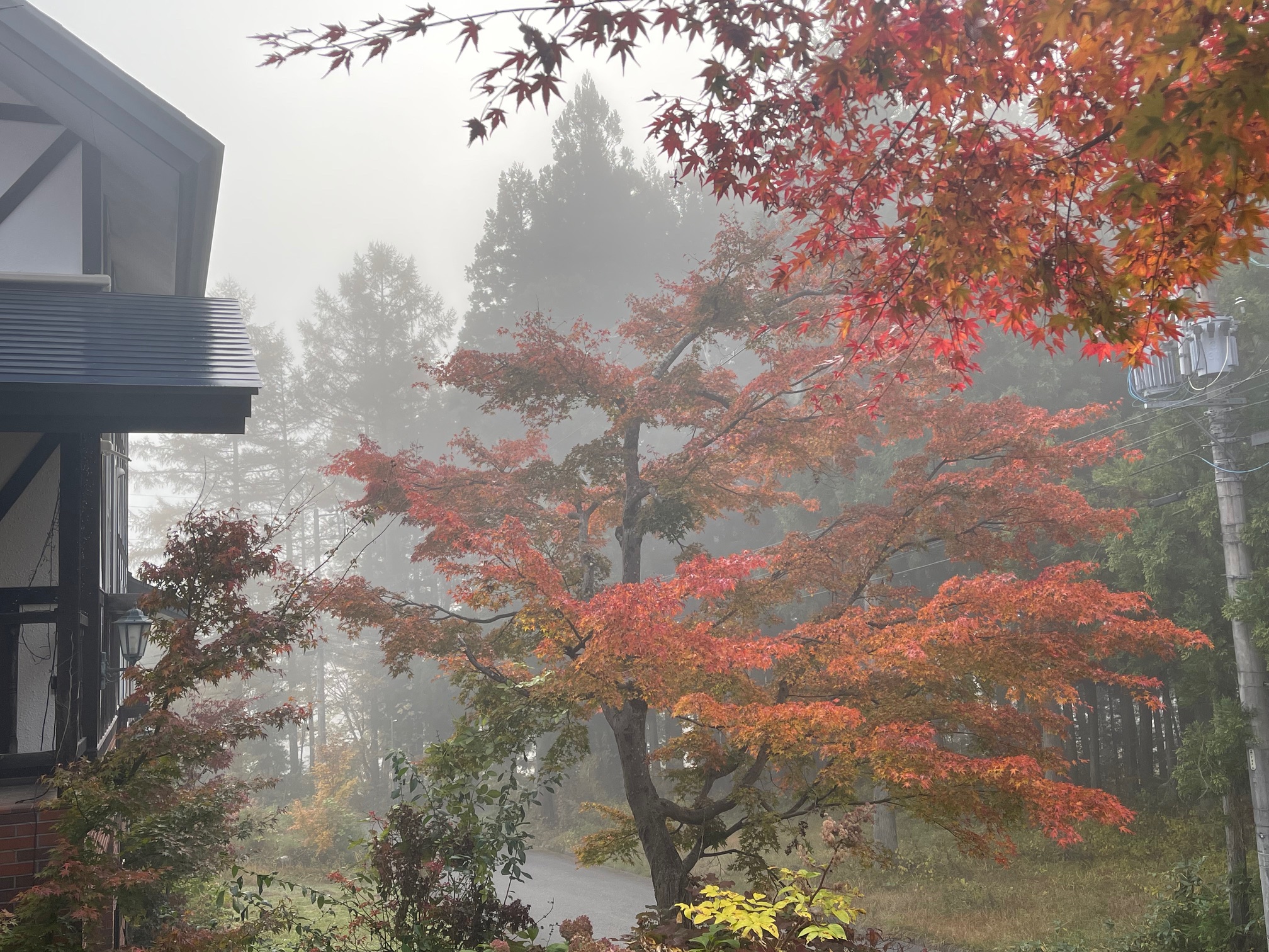 gallery-fall-21.jpg