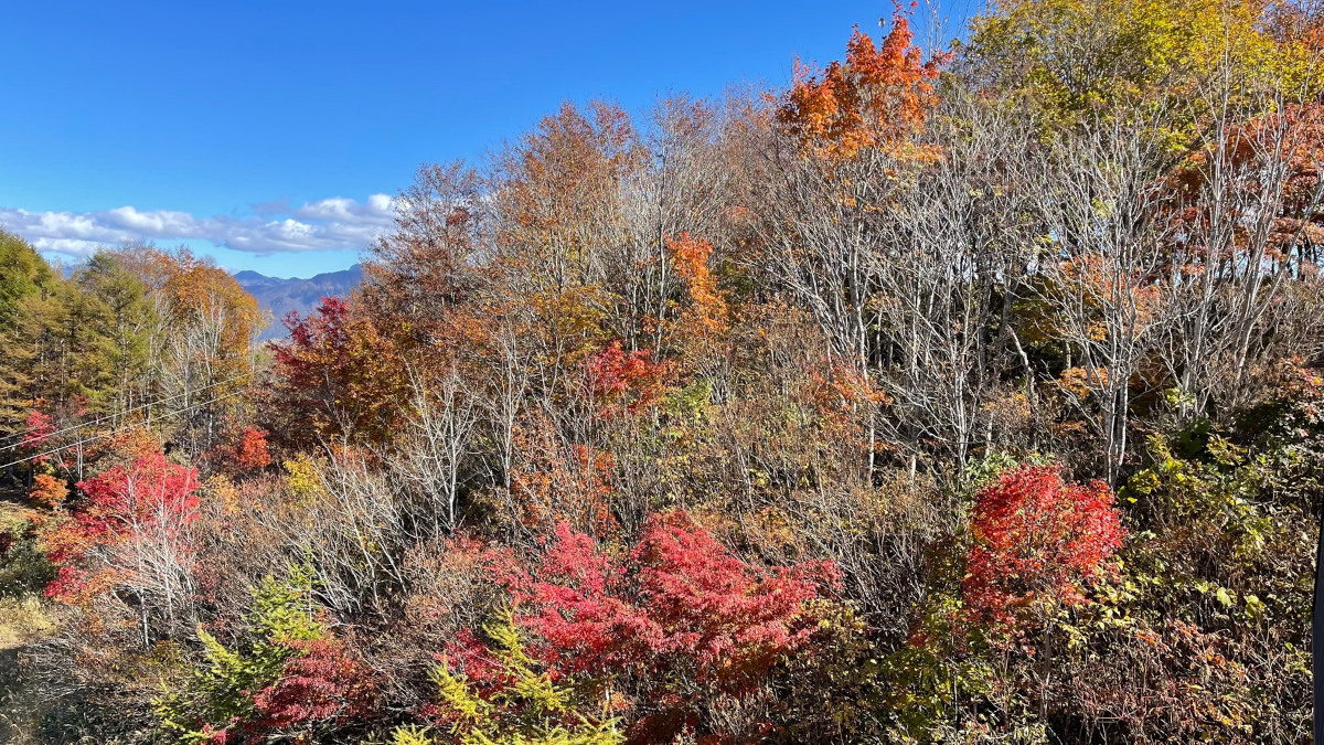 gallery-fall-3.jpg