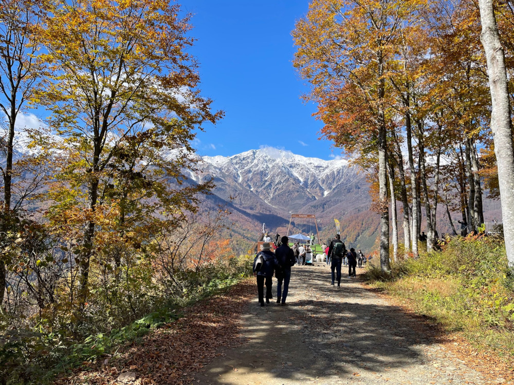 gallery-fall-4.jpg