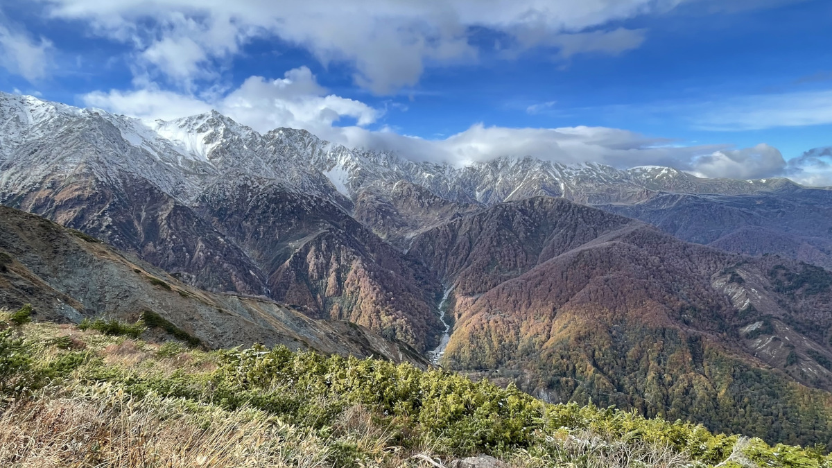 gallery-fall-8.jpg