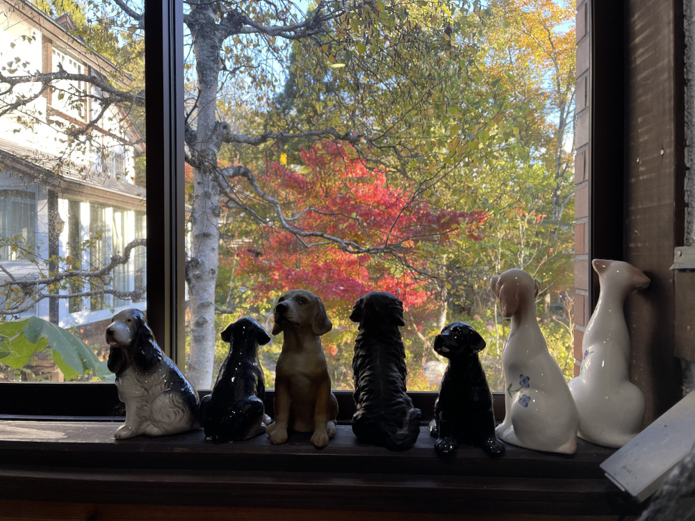 gallery-fall-9.jpg