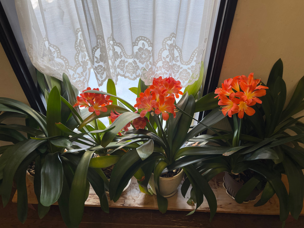 gallery-hotel-4.jpg