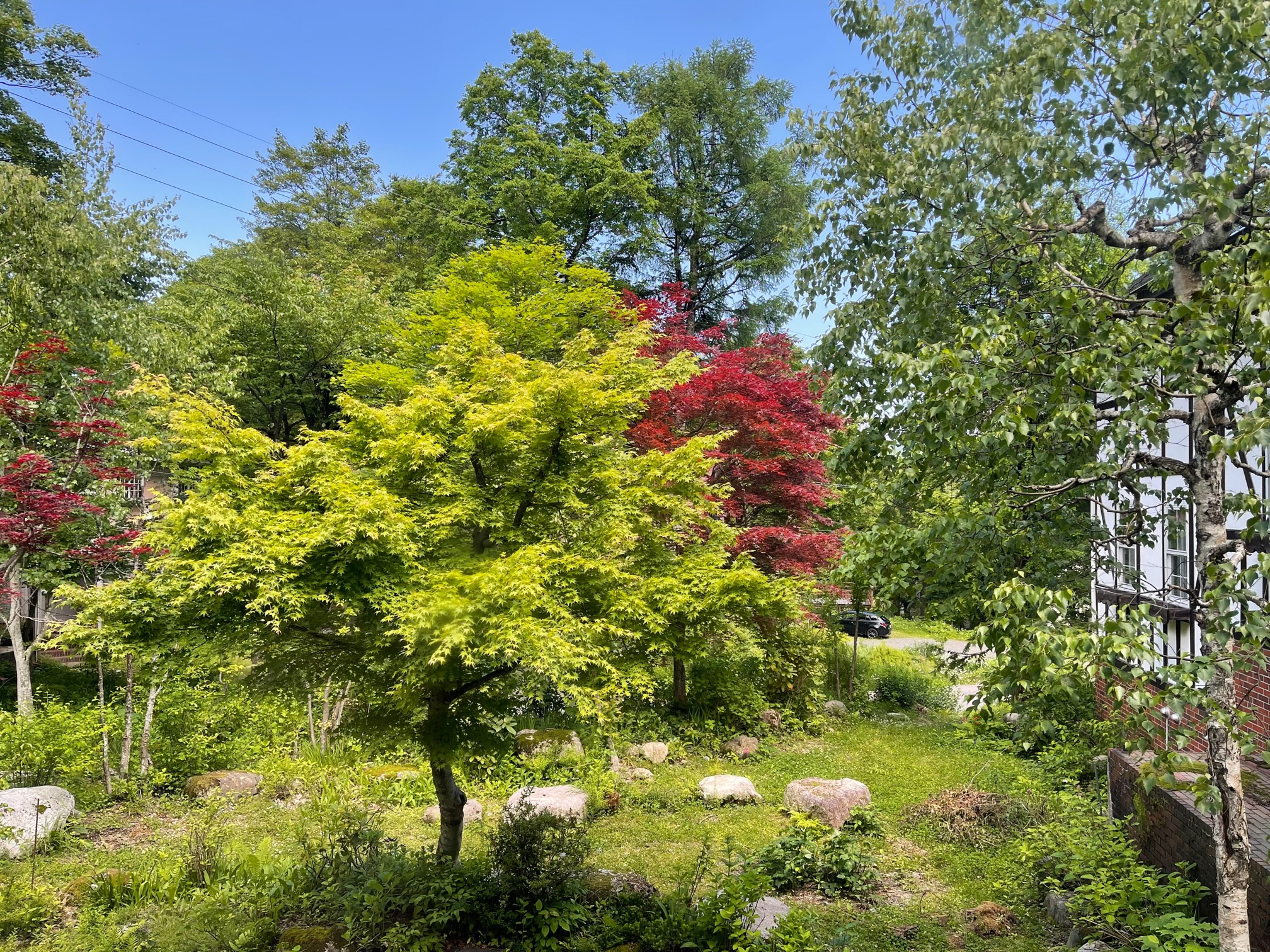 gallery-nat-1.jpg
